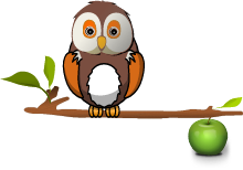 Owl on a Branch