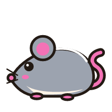 Rat